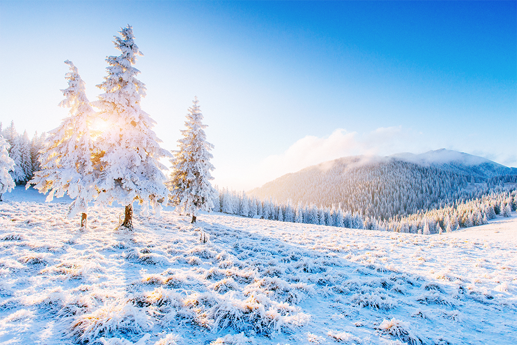 AdobeStock_172622751 AdobeStock 172622751