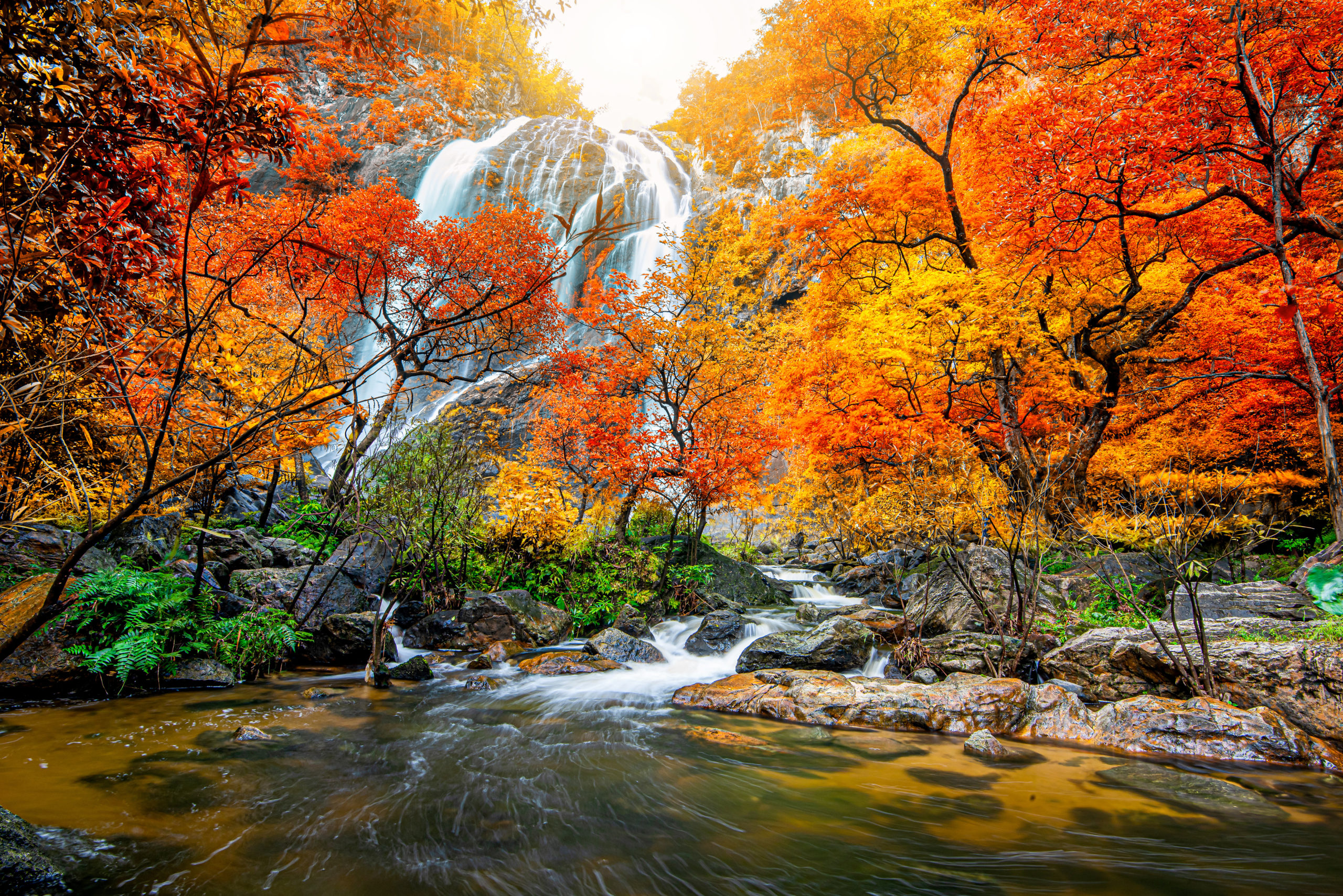 Amazing in nature, beautiful waterfall at colorful autumn forest Autumn