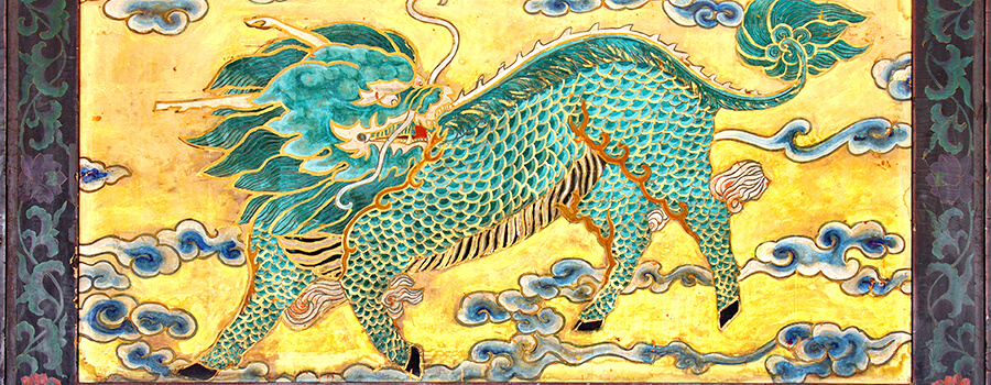 dragon dragon