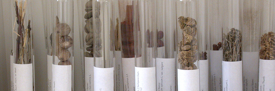 materiamedica2 materiamedica2 1