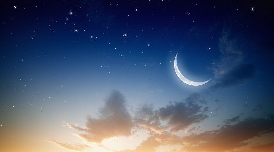 moon moon