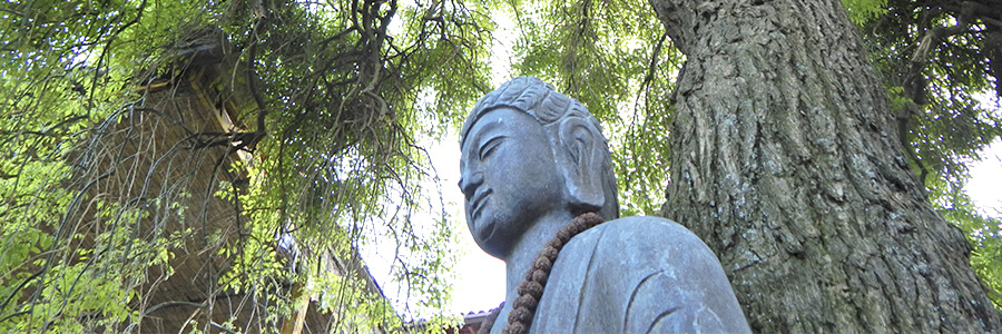 buddha2 buddha2