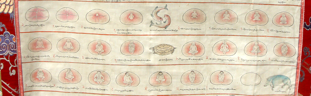 Embryology_L_web Embryology L web