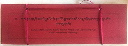 Medicine Buddha sadhana cover s w