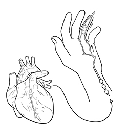 lhapulse 2